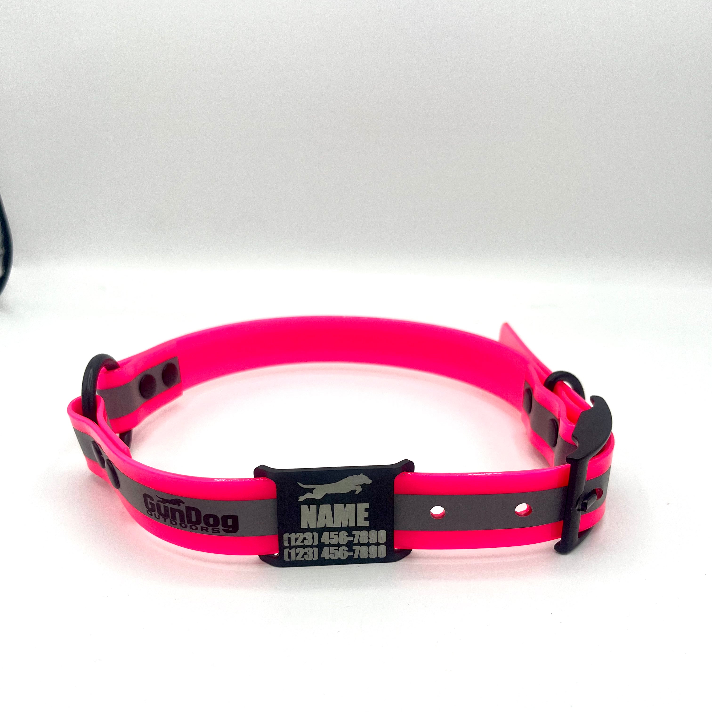 GDO Reflective Collar with Dawg Tag & Light